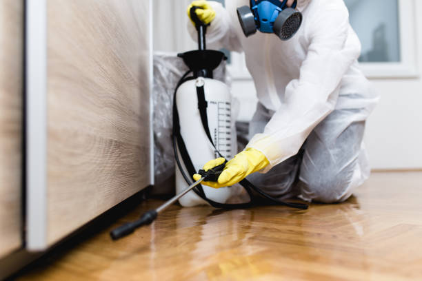 Best Pest Control Near Me  in Lebanon, OH