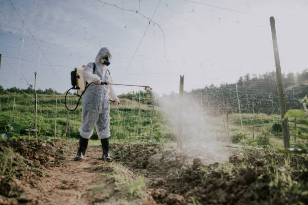 Best Pest Removal Services  in Lebanon, OH