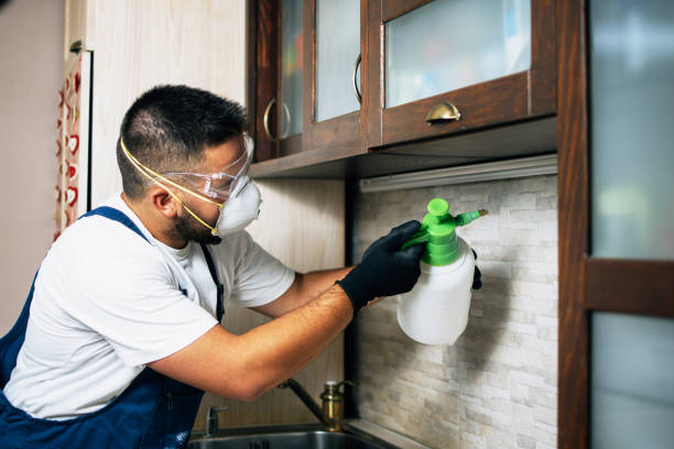 Best Flea Control Services  in Lebanon, OH