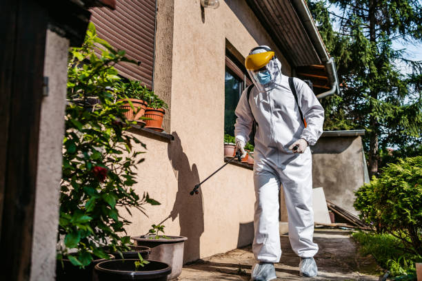 Best Affordable Pest Control Services  in Lebanon, OH