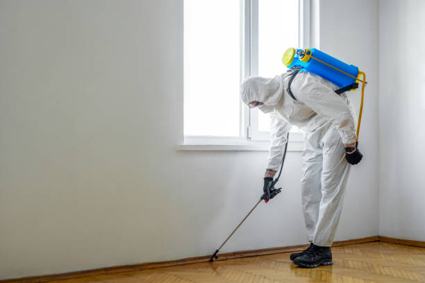 Best Wasp Removal Services  in Lebanon, OH