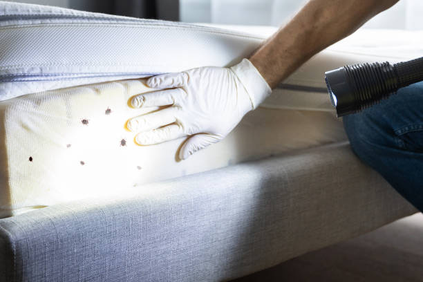 Best Ant Control Services  in Lebanon, OH