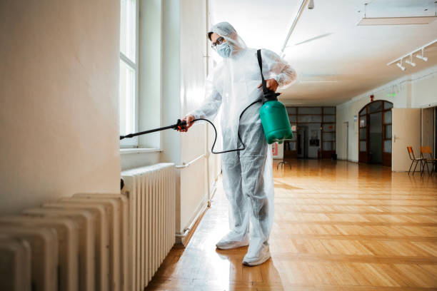 Trusted Lebanon, OH Pest Control Experts