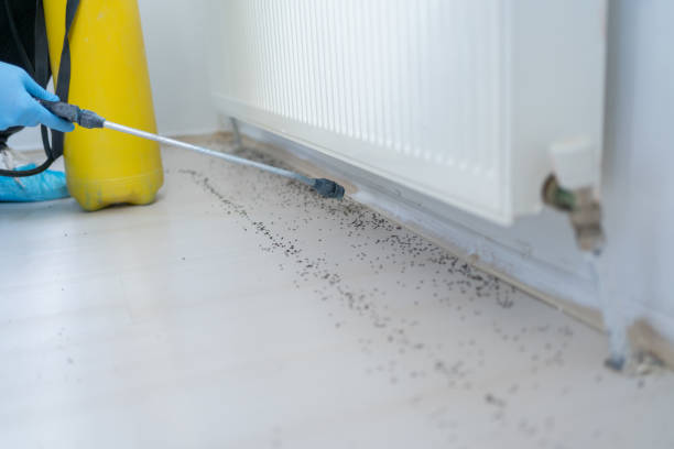 Best Emergency Pest Control  in Lebanon, OH