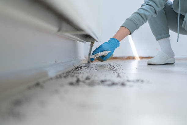 Best Termite Control Services  in Lebanon, OH